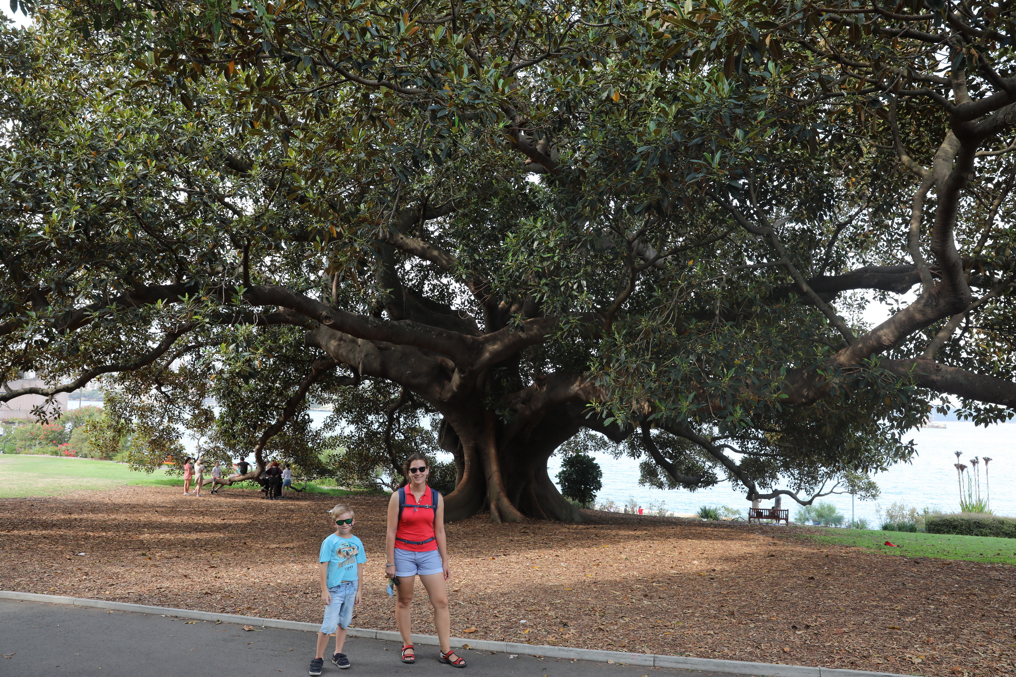 Royal Botanic Gardens